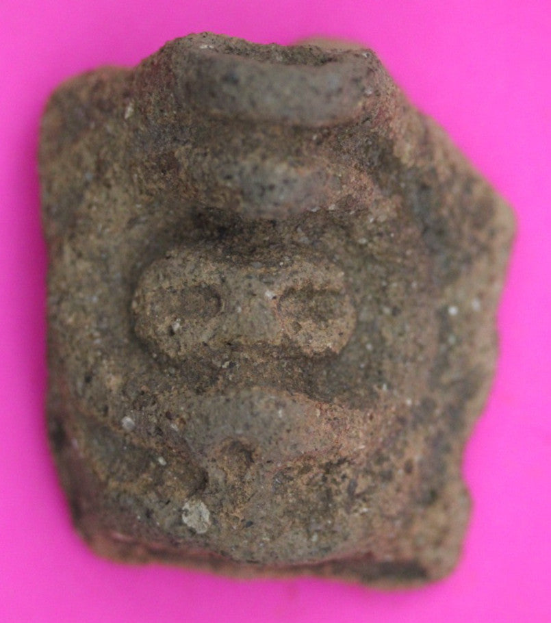 Puerto Rico Taino Pre Columbian Pottery Artifact FREE Display Case 1000AD COA 27