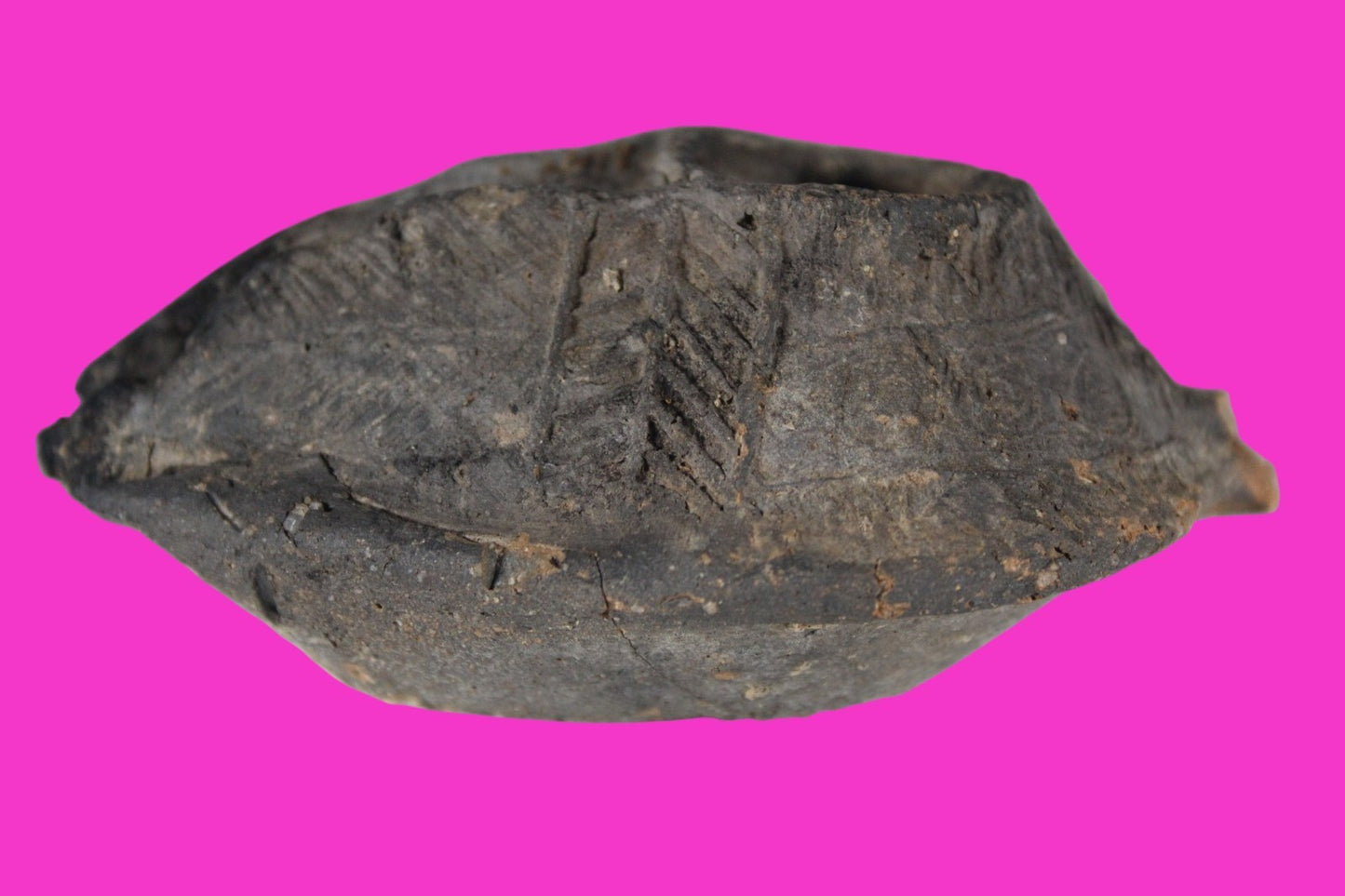 Oil Lamp Holy Land Ancient Artifact Jesus Christ Home Israel 300-600 AD COA 95