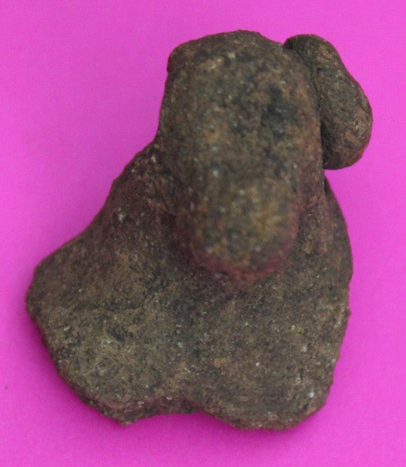 Puerto Rico Taino Pre Columbian Pottery Artifact FREE Display Case 1000AD COA 36