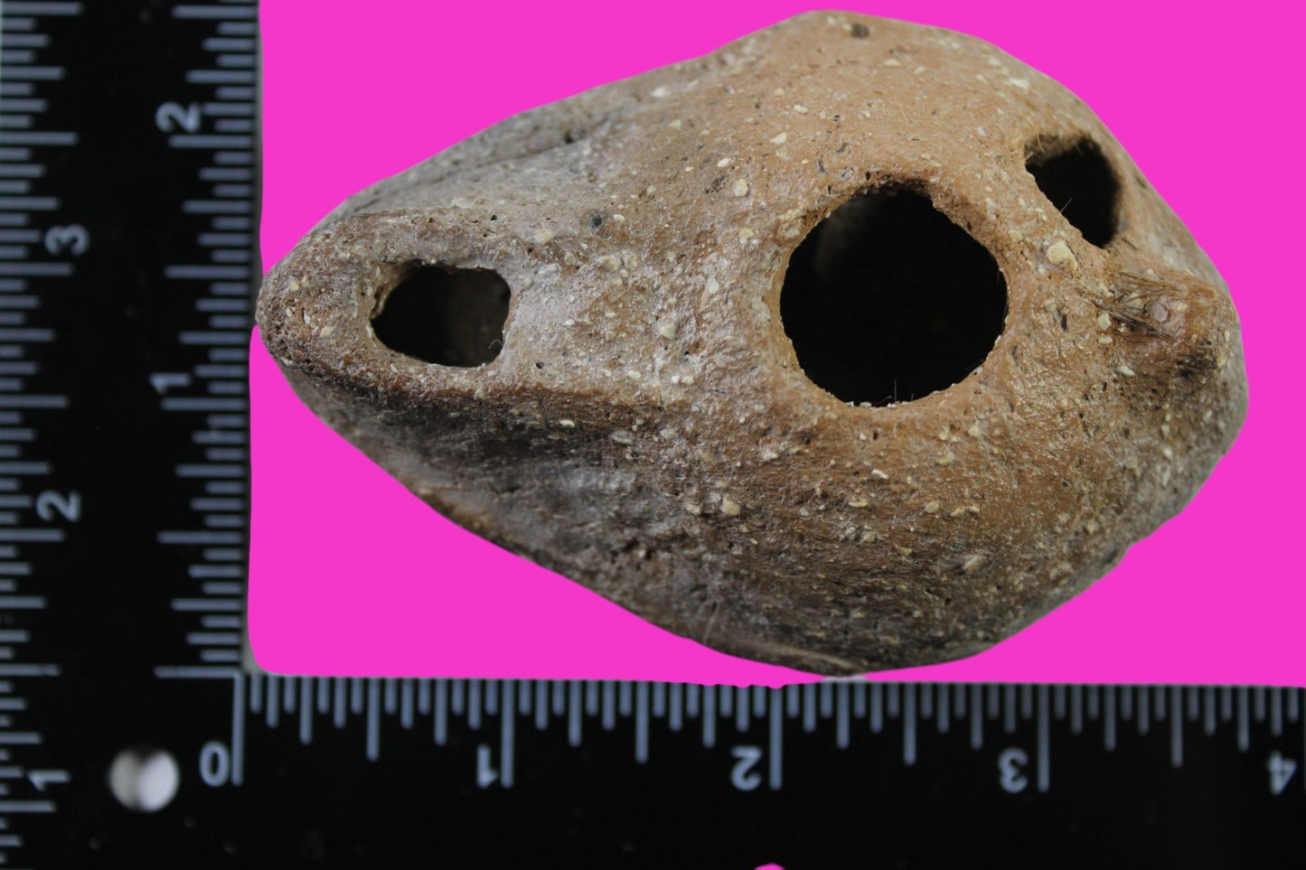 Ancient Holy Land Oil Lamp Artifact Jesus Christ Homeland 100 - 400 AD COA L09