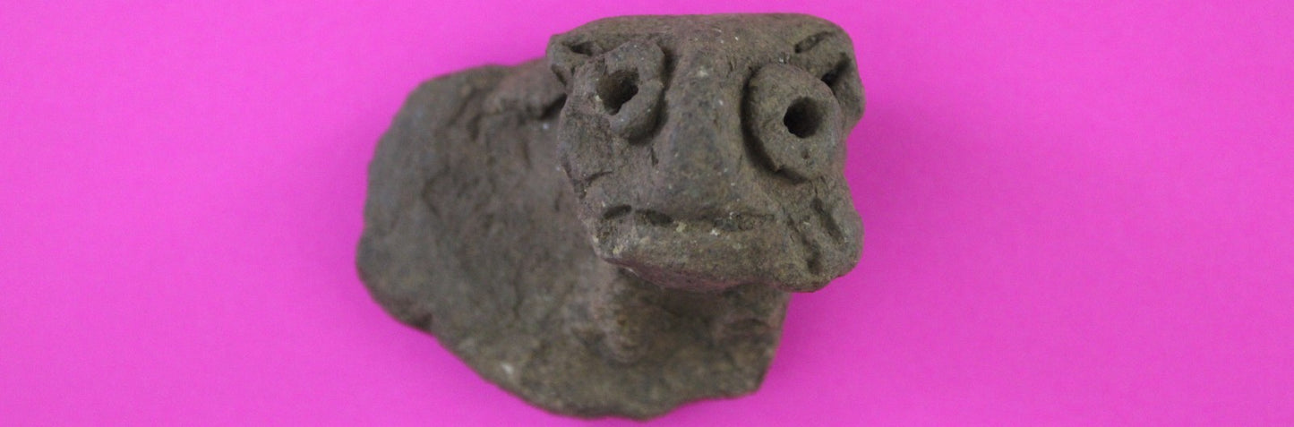 Puerto Rico Taino Pre Columbian Pottery Artifact FREE Display Case 1000AD COA 76