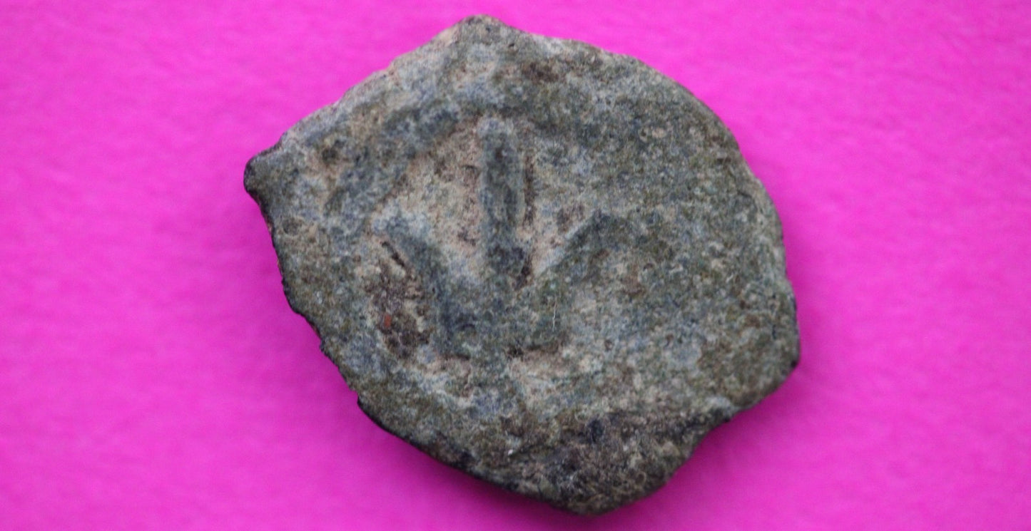 Widows Mite Coin Holy Land Artifact Free Display Frame Jesus Christ Lifetime 138