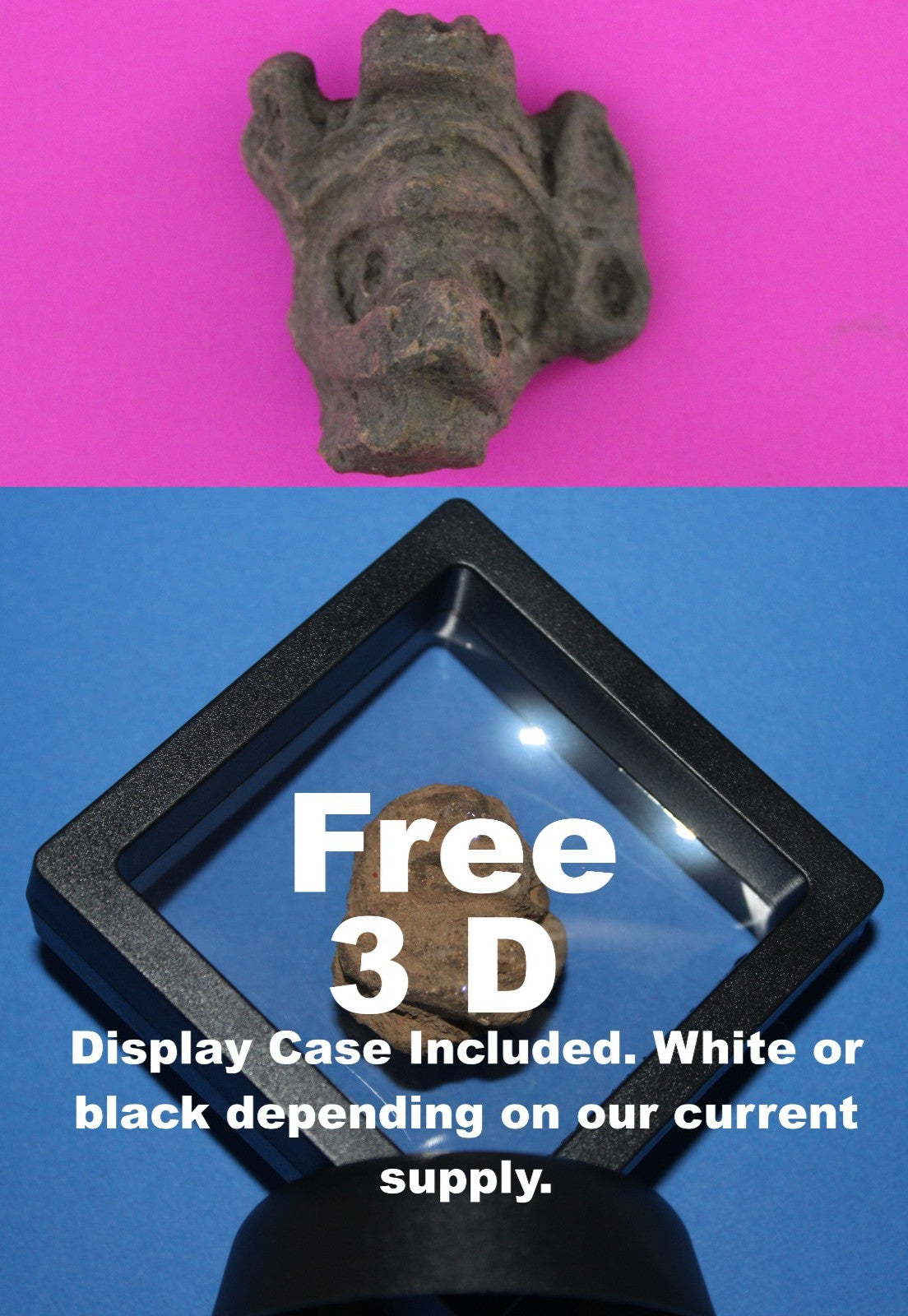 Puerto Rico Taino Pre Columbian Pottery Artifact FREE Display Case 1000AD COA 63