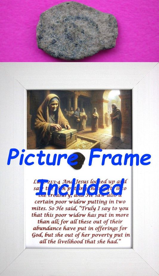 Widows Mite Coin Holy Land Artifact Free Display Frame Jesus Christ Lifetime 62