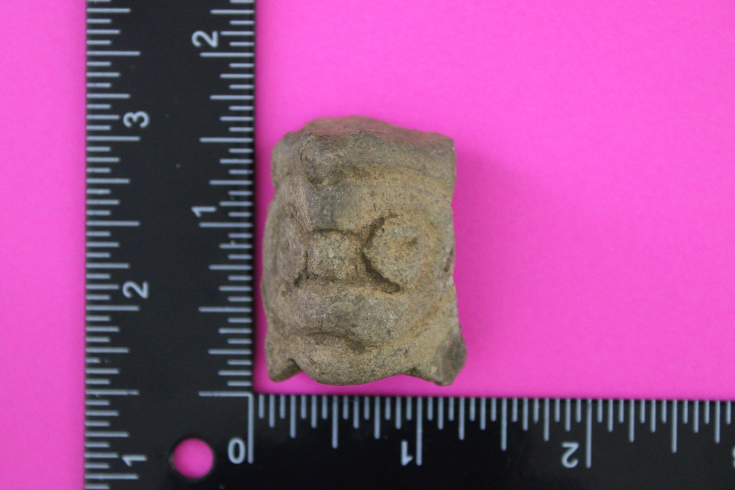 Puerto Rico Taino Pre Columbian Pottery Artifact FREE Display Case 1000AD COA 84