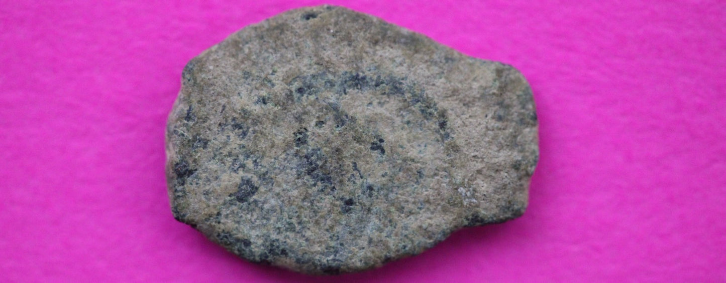 Widows Mite Coin Holy Land Artifact Free Display Frame Jesus Christ Lifetime 62