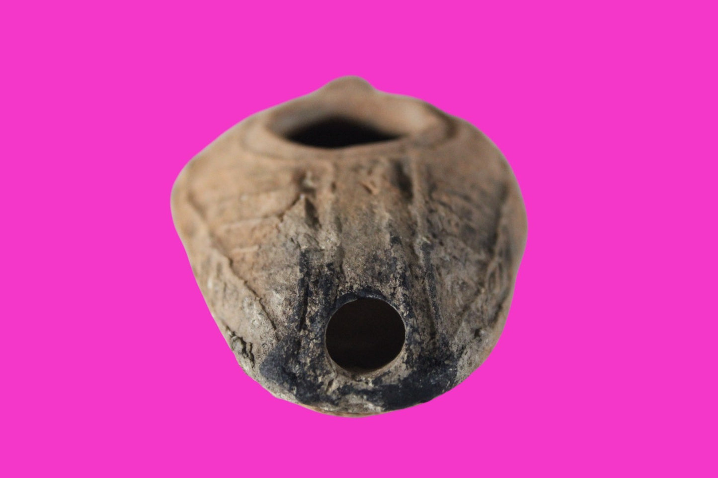 Oil Lamp Holy Land Ancient Artifact Jesus Christ Home Israel 300-600 AD COA 74