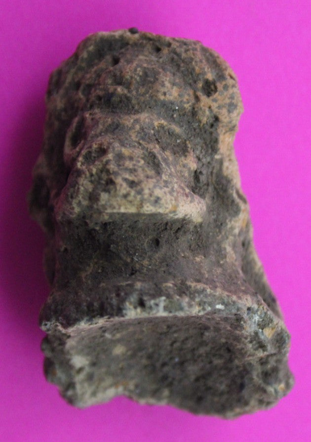 Puerto Rico Taino Pre Columbian Pottery Artifact FREE Display Case 1000AD COA 57