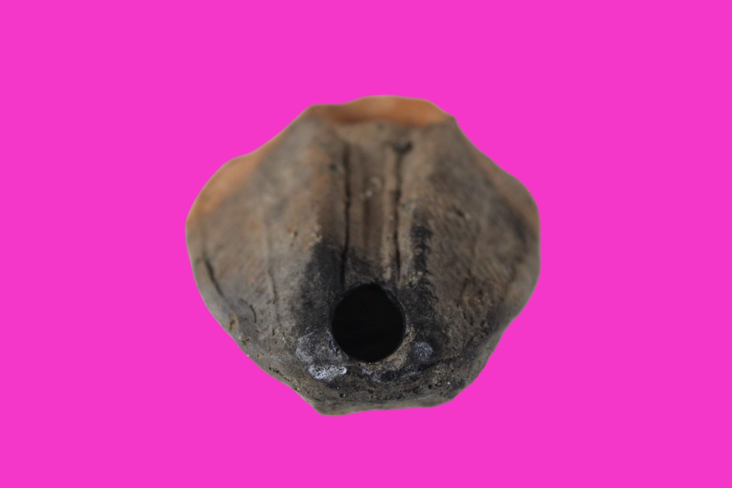 Oil Lamp Holy Land Ancient Artifact Jesus Christ Home Israel 300-600 AD COA 118