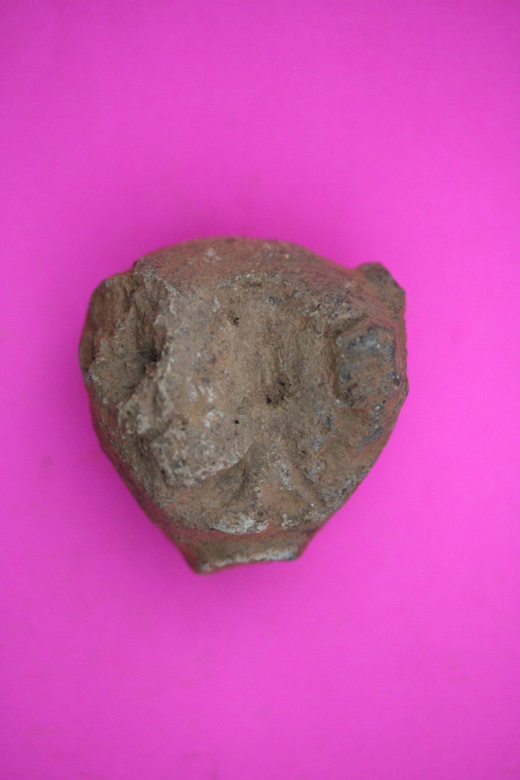 Puerto Rico Taino Pre Columbian Pottery Artifact FREE Display Case 1000AD COA 28