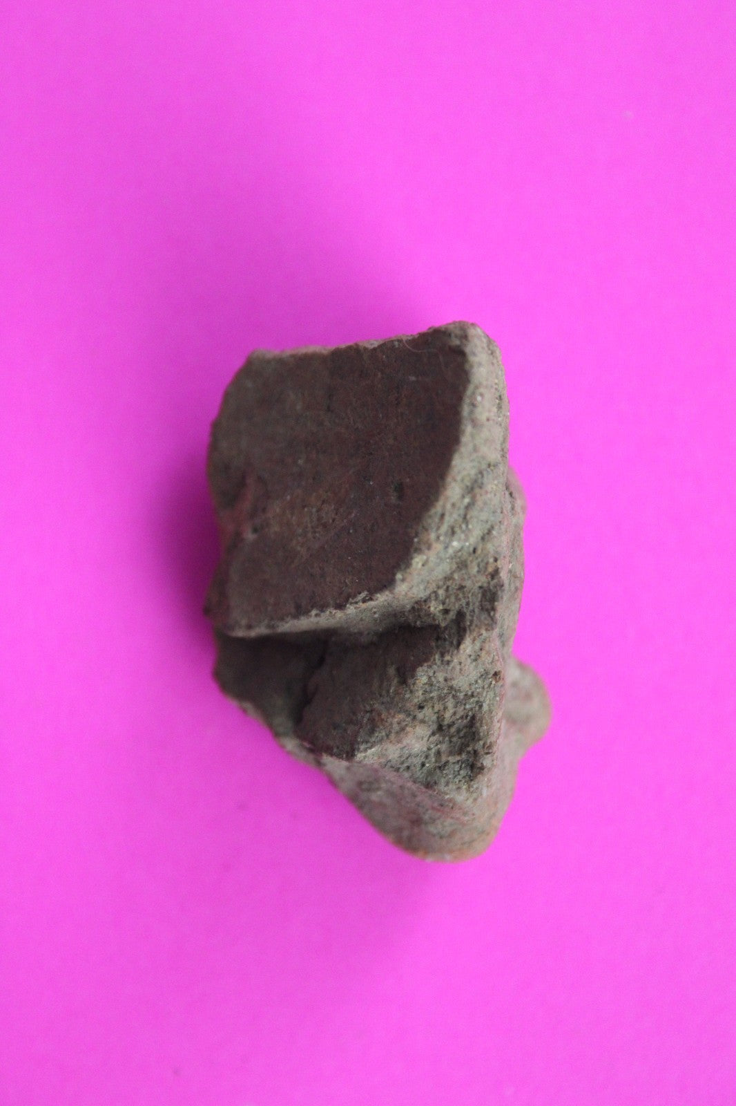 Puerto Rico Taino Pre Columbian Pottery Artifact FREE Display Case 1000AD COA 58