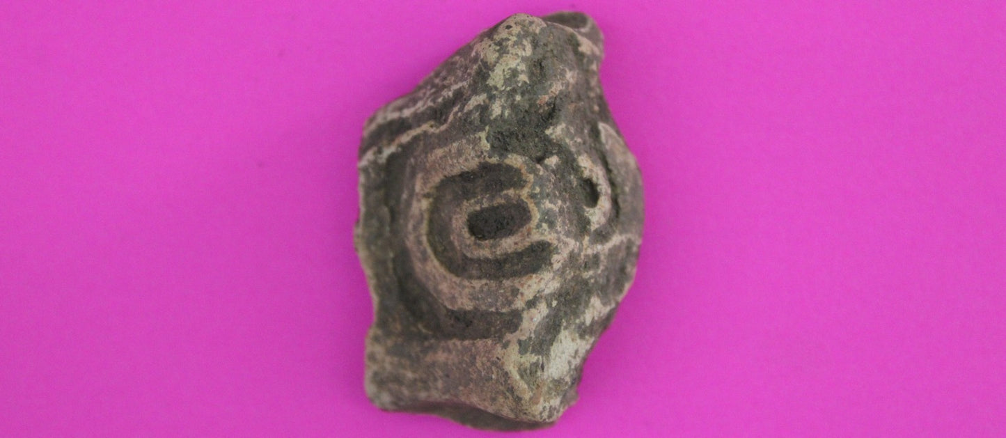 Puerto Rico Taino Pre Columbian Pottery Artifact FREE Display Case 1000AD COA 74