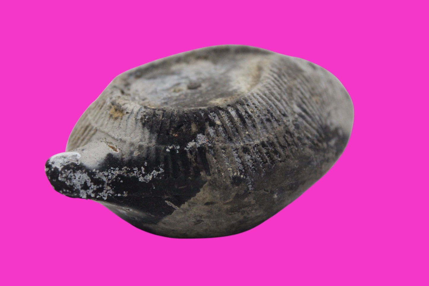 Ancient Holy Land Oil Lamp Artifact From Jesus Christ Home Land 100-500AD COA 61