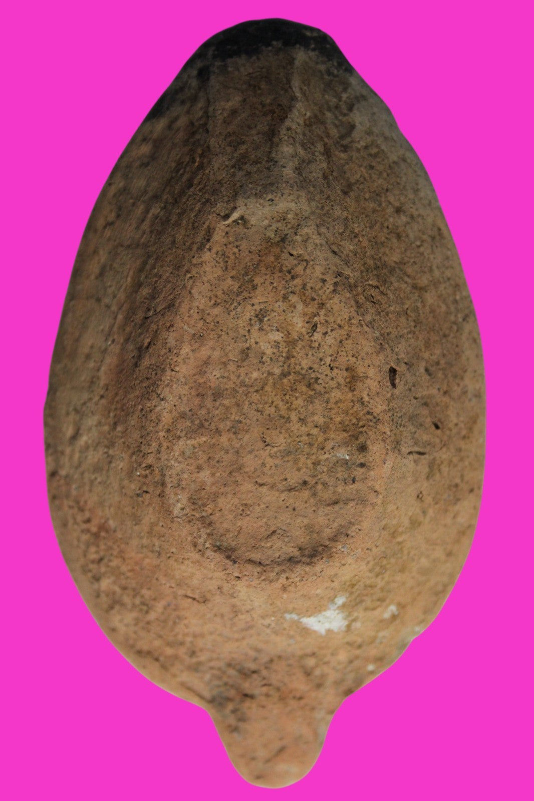 Oil Lamp Holy Land Ancient Artifact Jesus Christ Home Israel 300-600 AD COA 94