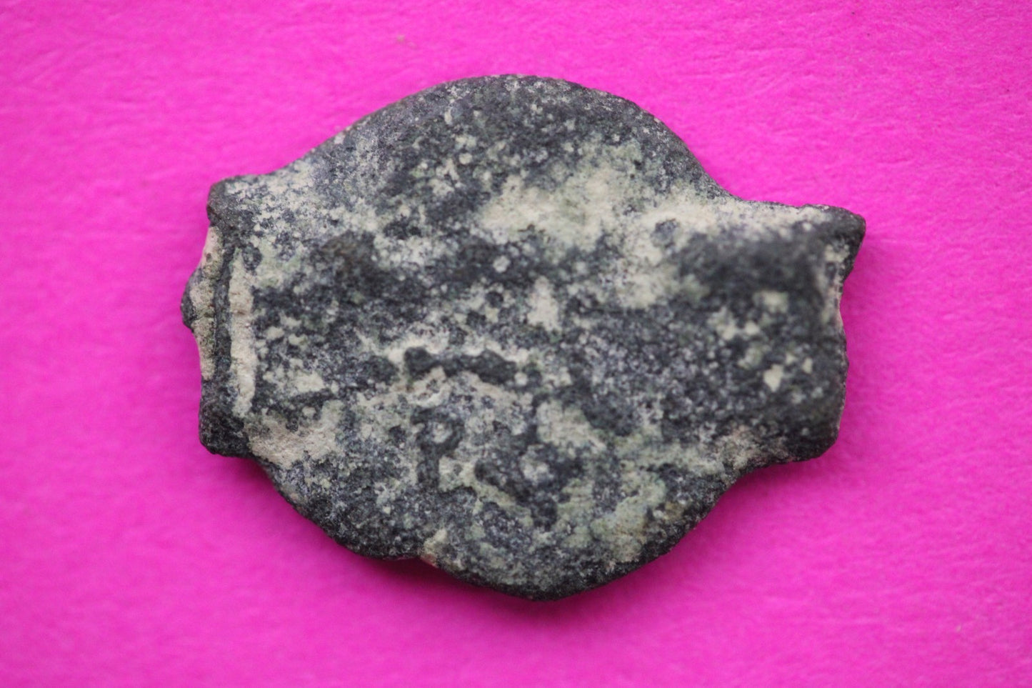 Widows Mite Coin Holy Land Artifact Free Display Frame Jesus Christ Lifetime 85