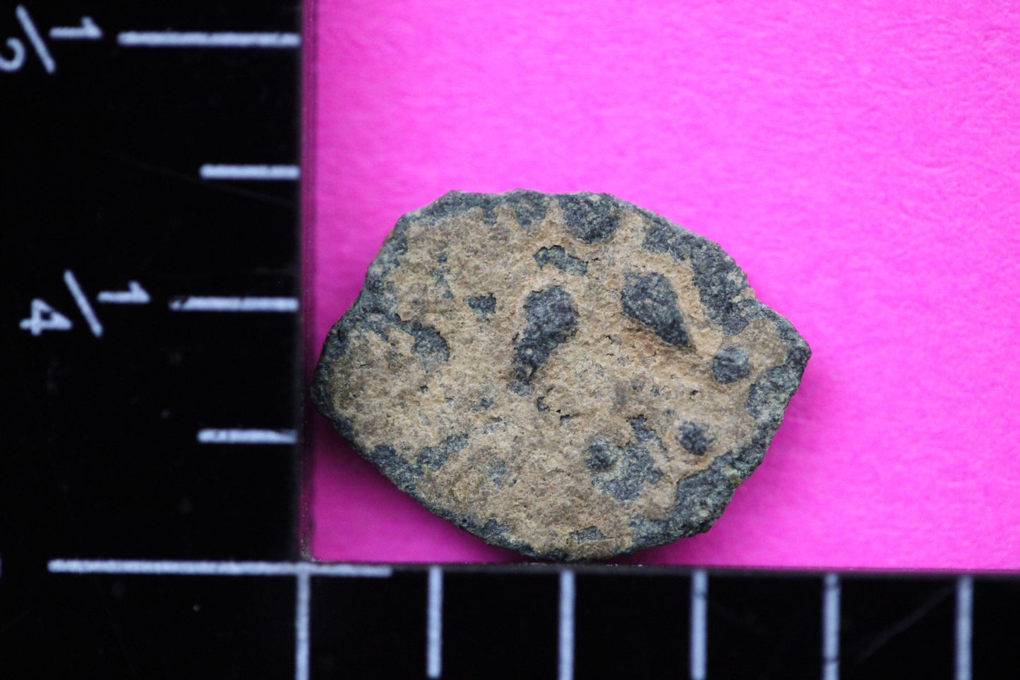 Widows Mite Coin Holy Land Artifact Free Display Frame Jesus Christ Lifetime 198