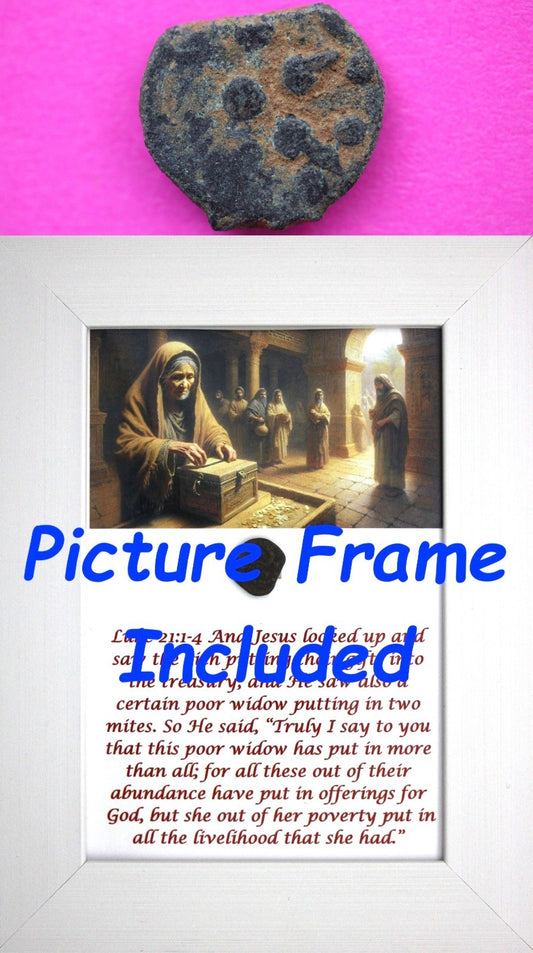 Widows Mite Coin Holy Land Artifact Free Display Frame Jesus Christ Lifetime 73