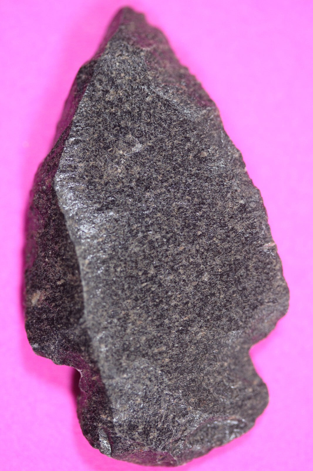 Pre Columbian Artifact Authentic Aztec Arrowhead Battle of Mexico City COA 12