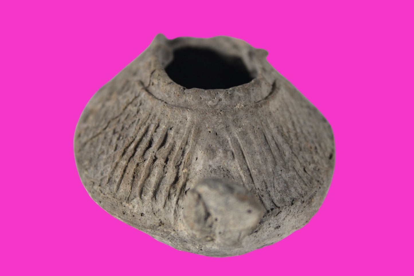 Oil Lamp Holy Land Ancient Artifact Jesus Christ Home Israel 300-600 AD COA 128