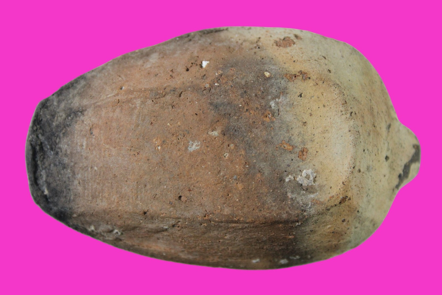 Ancient Holy Land Oil Lamp Artifact 2 Hidden Christian Crosses 300-600AD COA 112