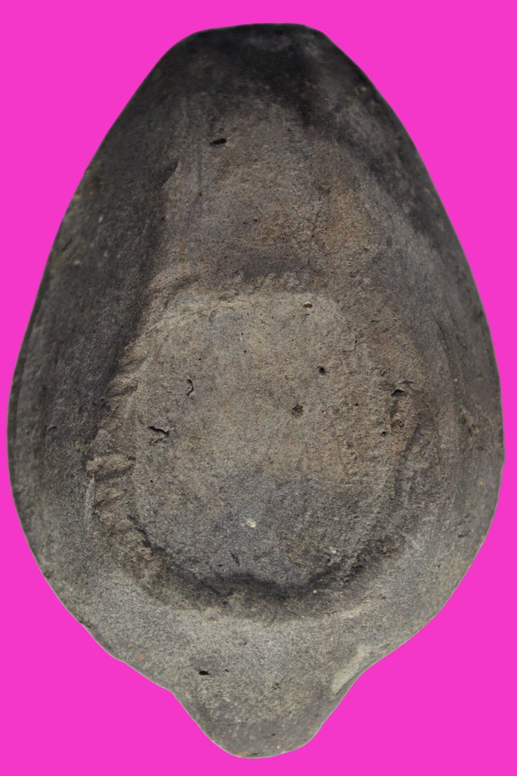 Oil Lamp Holy Land Ancient Artifact Jesus Christ Home Israel 300-600 AD COA 98