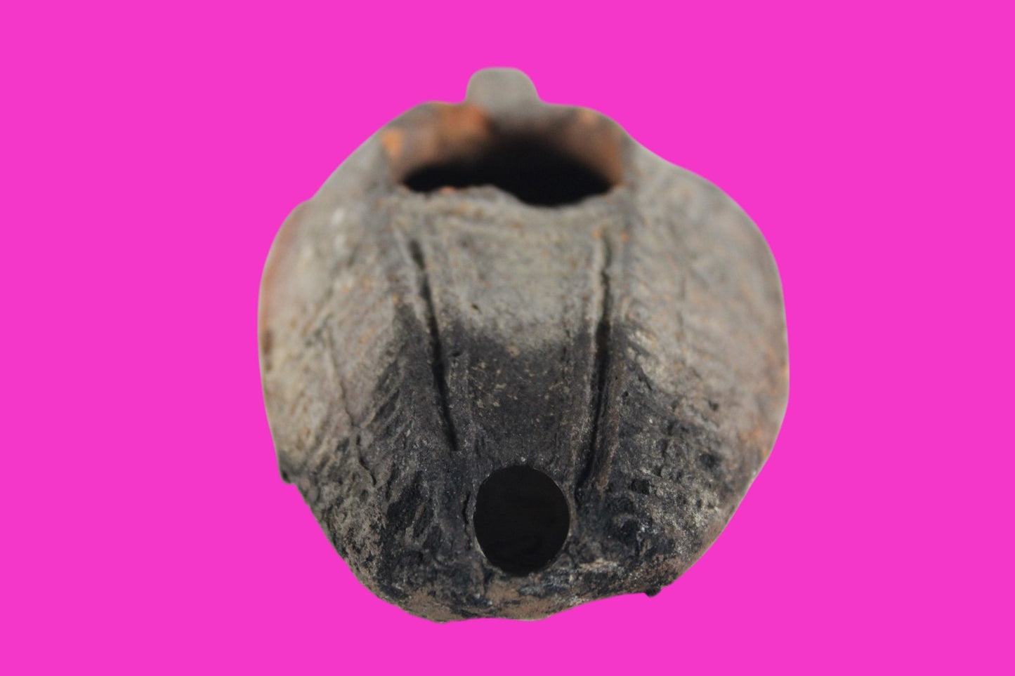 Oil Lamp Holy Land Ancient Artifact Jesus Christ Home Israel 300-600 AD COA 109