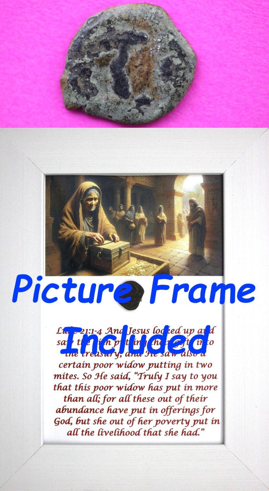 Widows Mite Coin Holy Land Artifact Free Display Frame Jesus Christ Lifetime 58