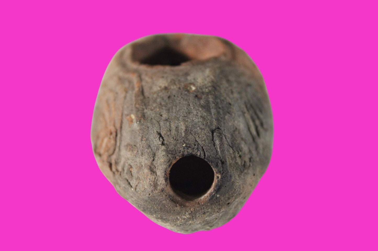 Oil Lamp Holy Land Ancient Artifact Jesus Christ Home Israel 300-600 AD COA 69