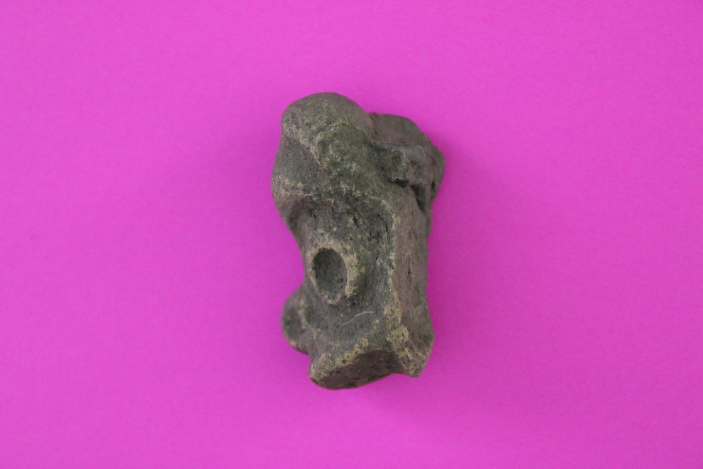 Puerto Rico Taino Pre Columbian Pottery Artifact FREE Display Case 1000A COA 100