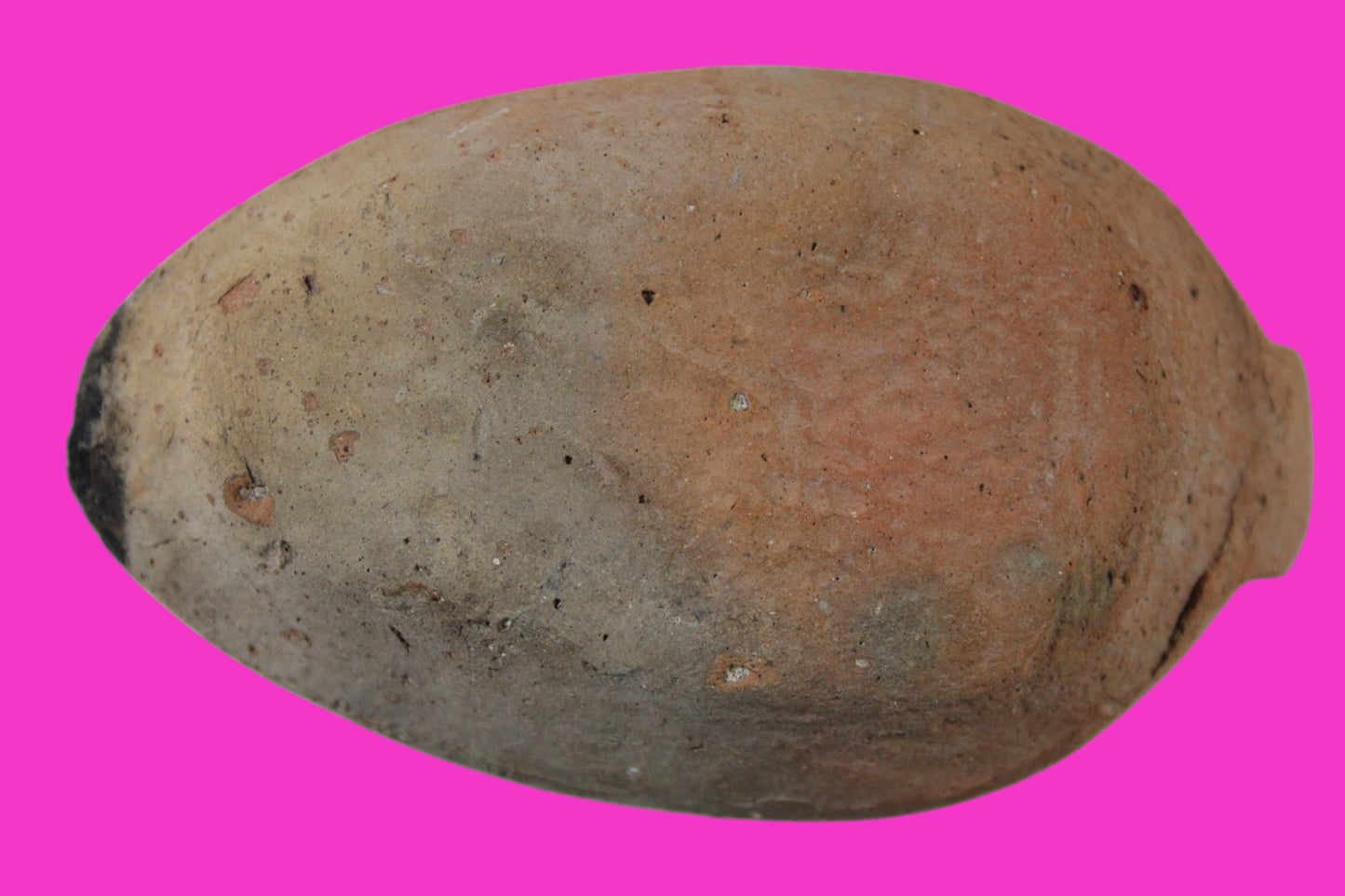 Oil Lamp Holy Land Ancient Artifact Jesus Christ Home Israel 300-600 AD COA 81