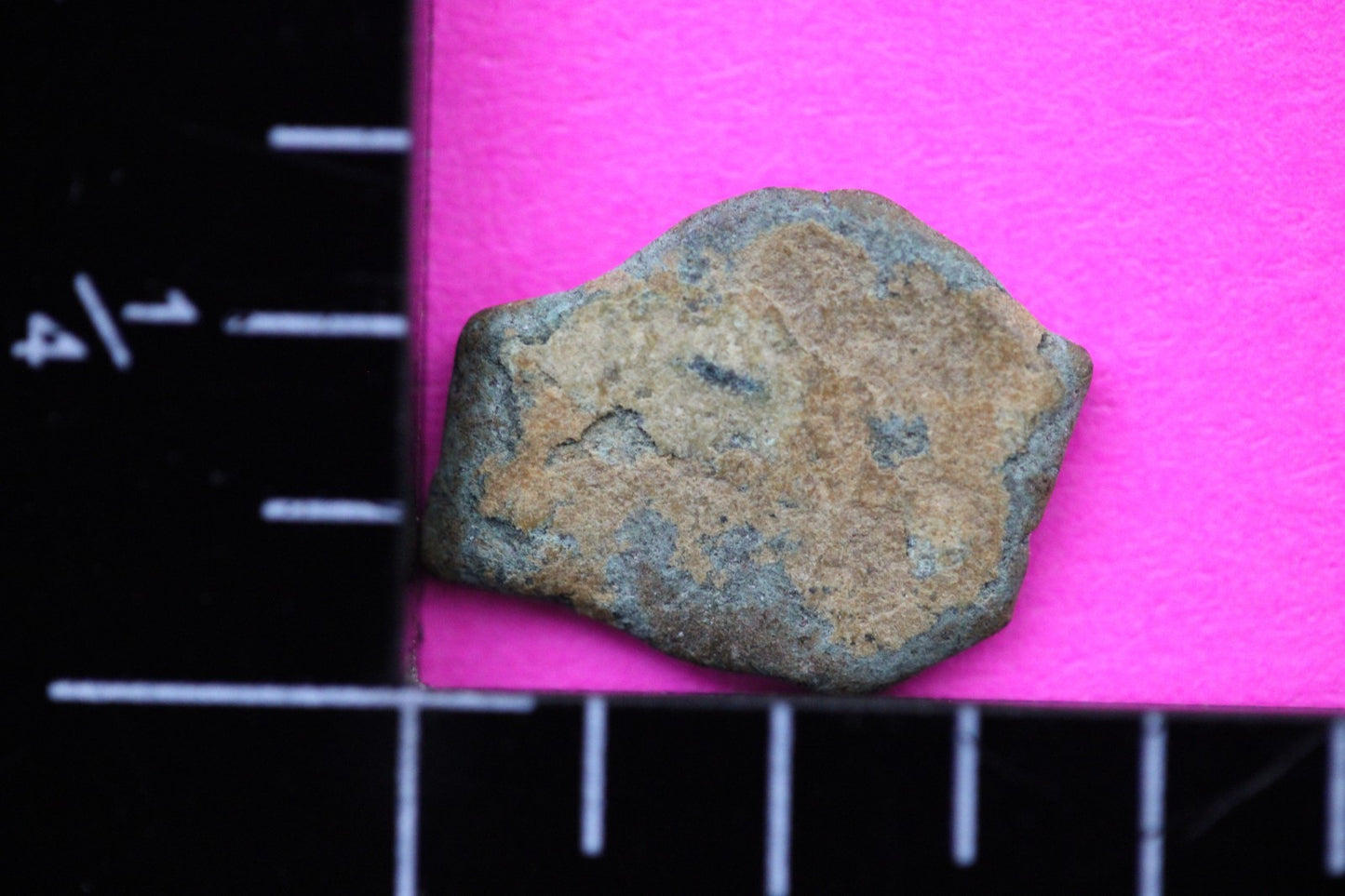 Widows Mite Coin Holy Land Artifact Free Display Frame Jesus Christ Lifetime 158