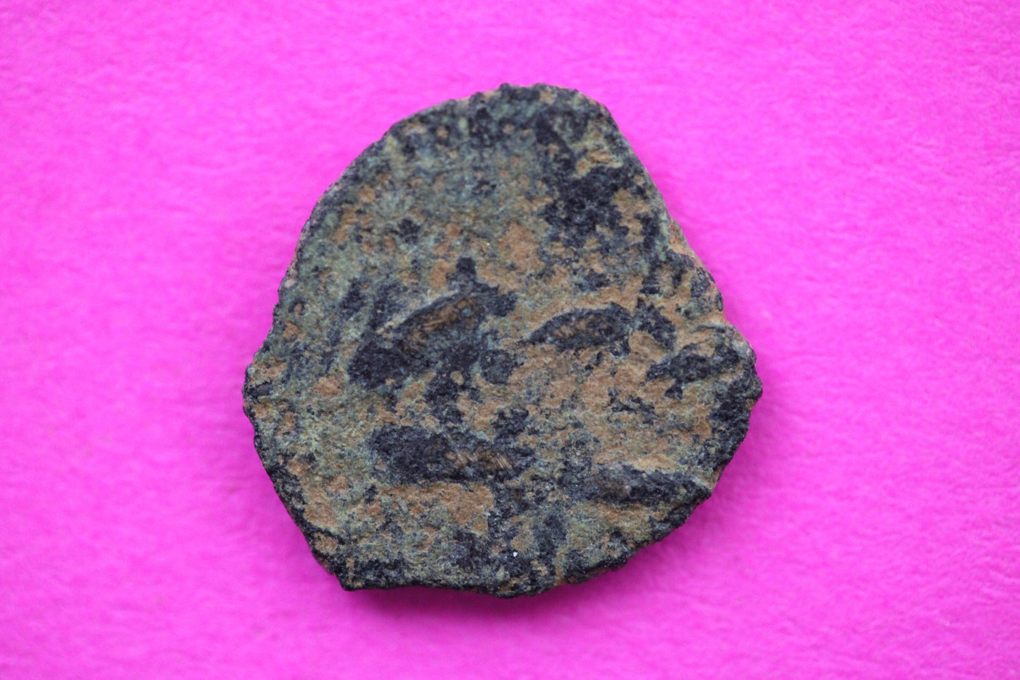 Widows Mite Coin Holy Land Artifact Free Display Frame Jesus Christ Lifetime 47