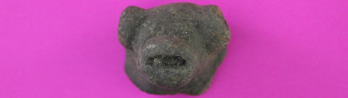 Puerto Rico Taino Pre Columbian Pottery Artifact FREE Display Case 1000AD COA102