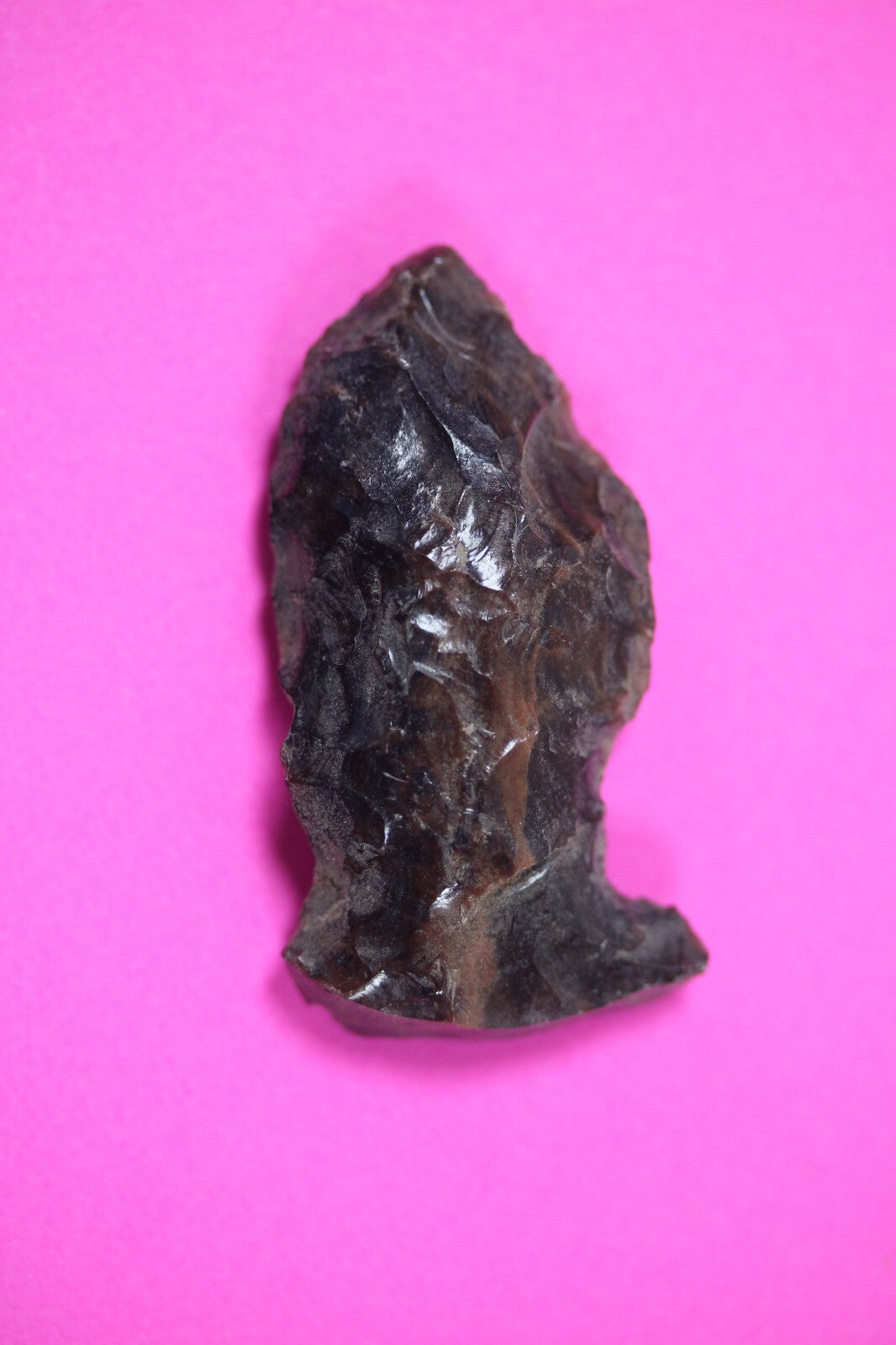 Pre Columbian Artifact Authentic Aztec Arrowhead Battle of Mexico City COA 54