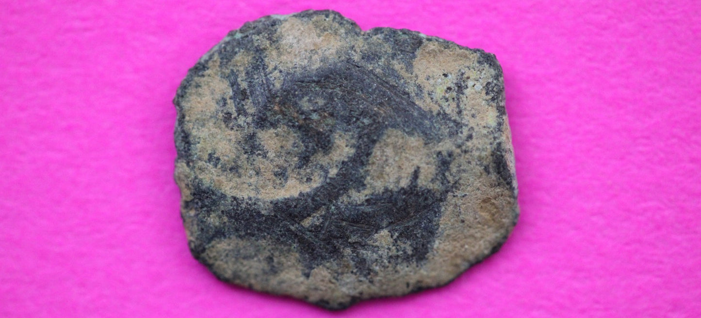 Widows Mite Coin Holy Land Artifact Free Display Frame Jesus Christ Lifetime 151