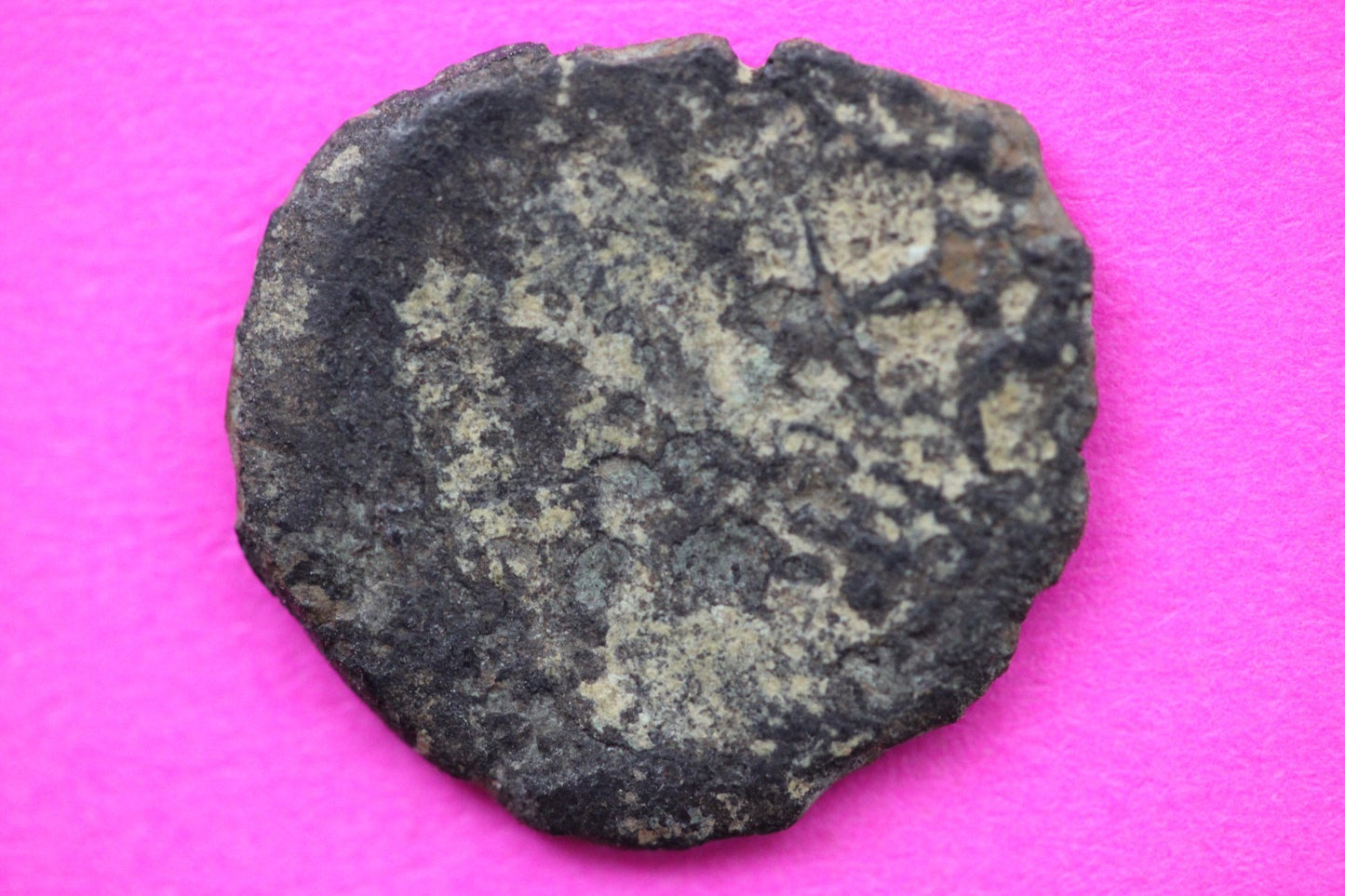 Widows Mite Coin Holy Land Artifact Free Display Frame Jesus Christ Lifetime 92