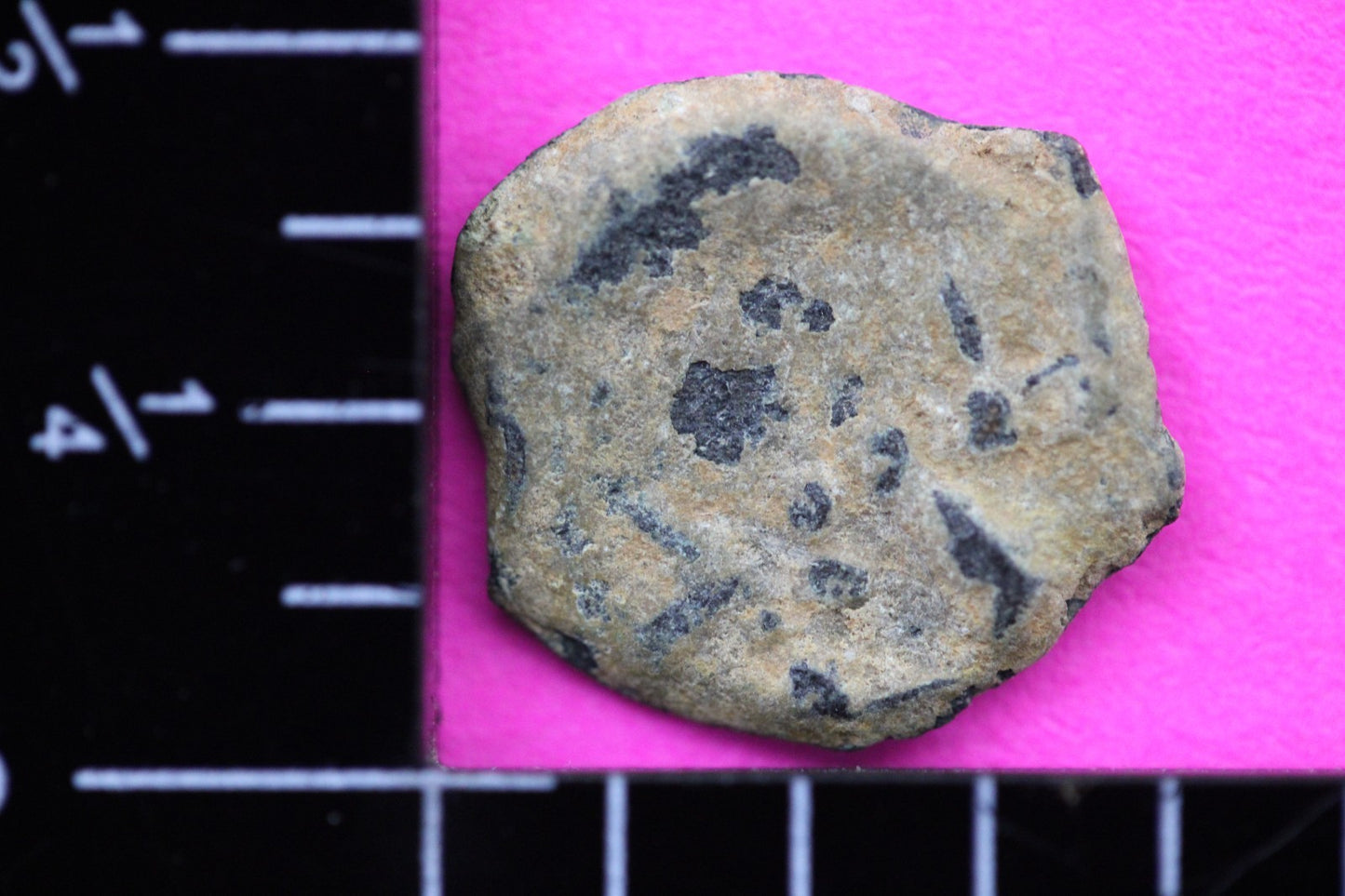 Widows Mite Coin Holy Land Artifact Free Display Frame Jesus Christ Lifetime 56