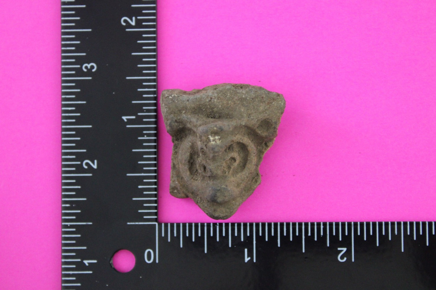 Puerto Rico Taino Pre Columbian Pottery Artifact FREE Display Case 1000AD COA 65