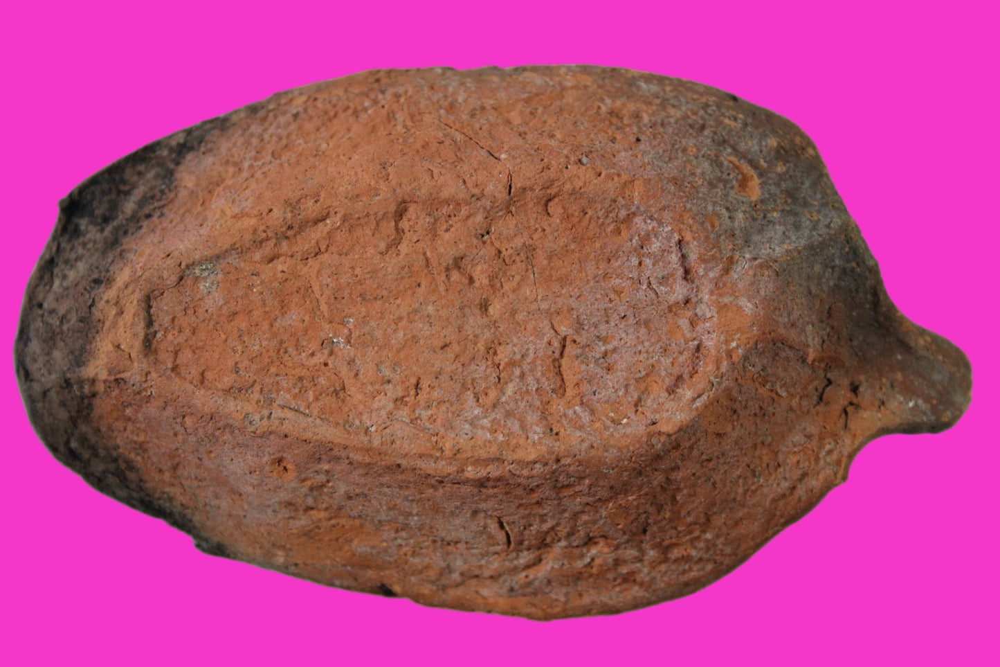 Oil Lamp Holy Land Ancient Artifact Jesus Christ Home Israel 300-600 AD COA 109