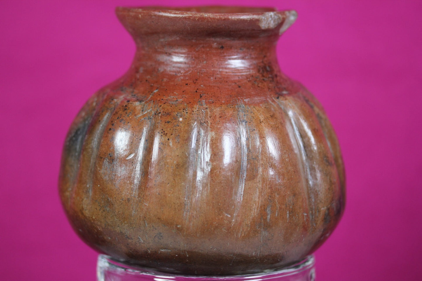 Pre Columbian Artifact Colima 300 BC-300 AD Gadrooned Jar Authentic COA J14
