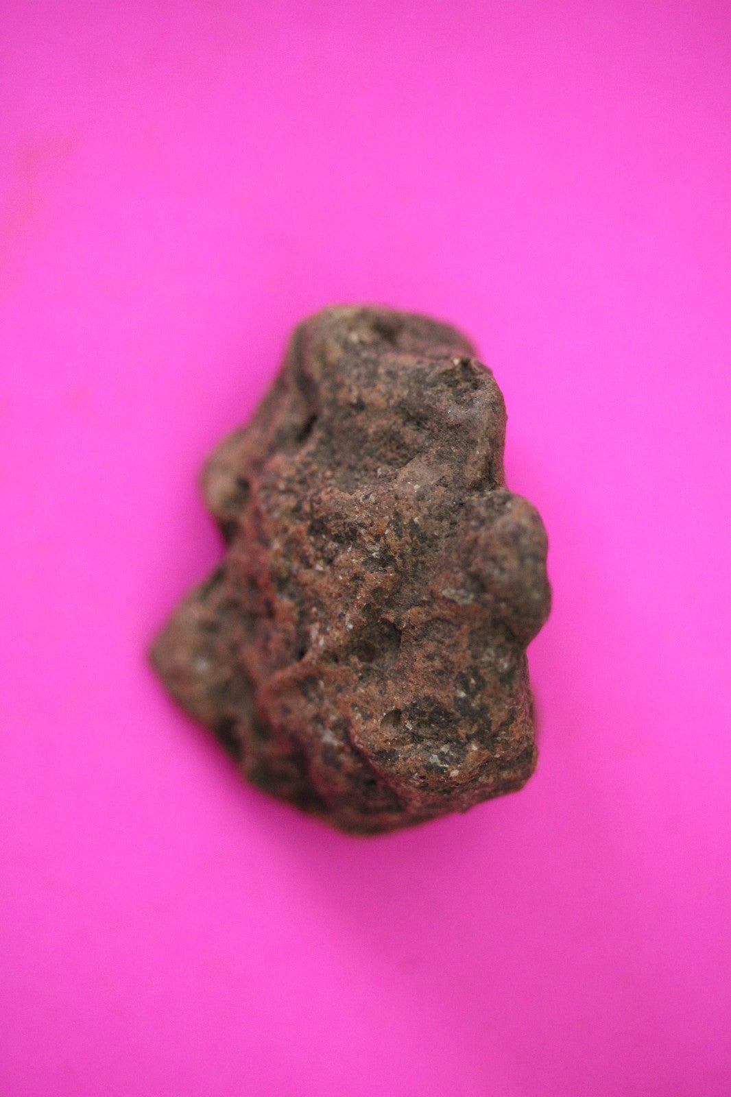 Puerto Rico Taino Pre Columbian Pottery Artifact FREE Display Case 1000AD COA 29