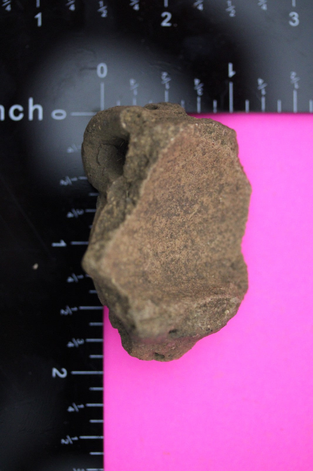 Puerto Rico Taino Pre Columbian Pottery Artifact FREE Display Case 1000AD COA 22