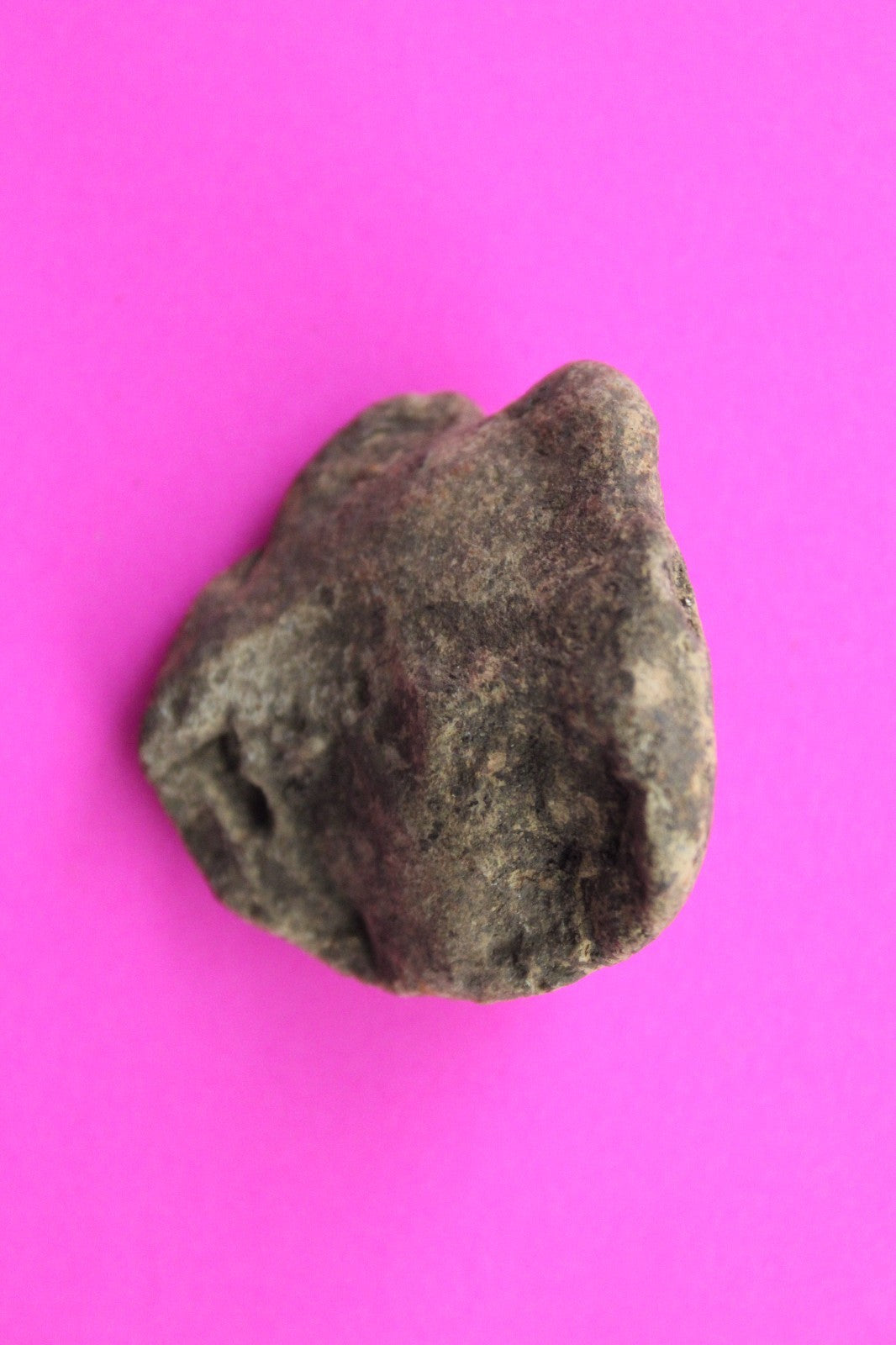 Puerto Rico Taino Pre Columbian Pottery Artifact FREE Display Case 1000AD COA 49