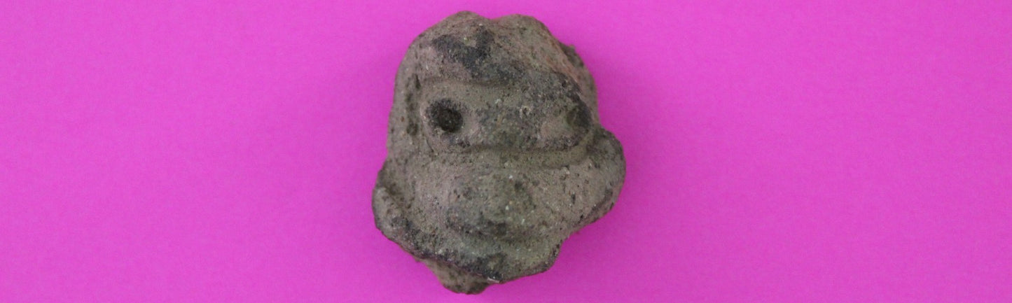 Puerto Rico Taino Precolumbian Pottery Artifact FREE Display Case 1000 AD COA 30