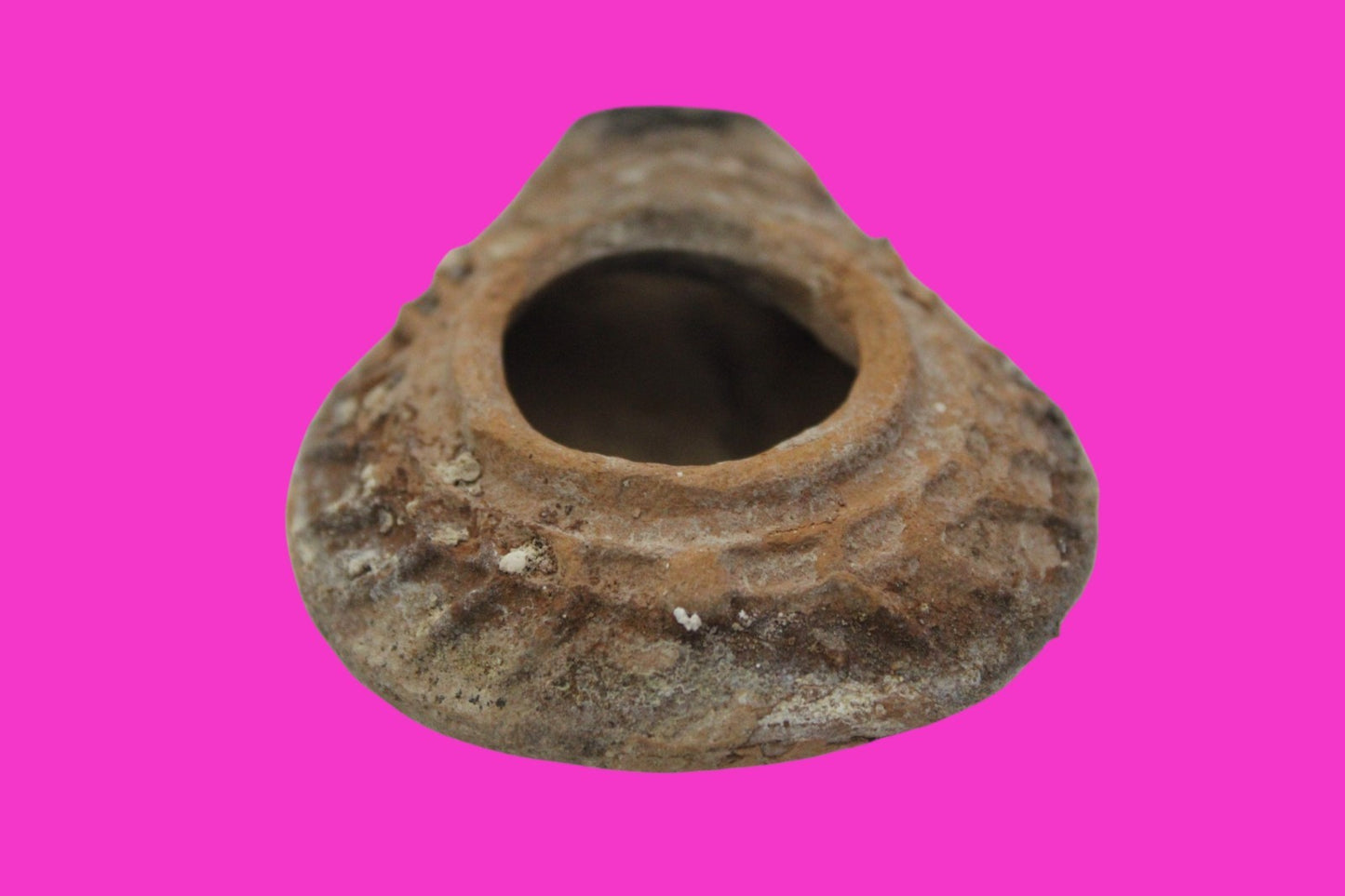 Ancient Holy Land Oil Lamp Artifact From Jesus Christ Home Land 100-500AD COA 63