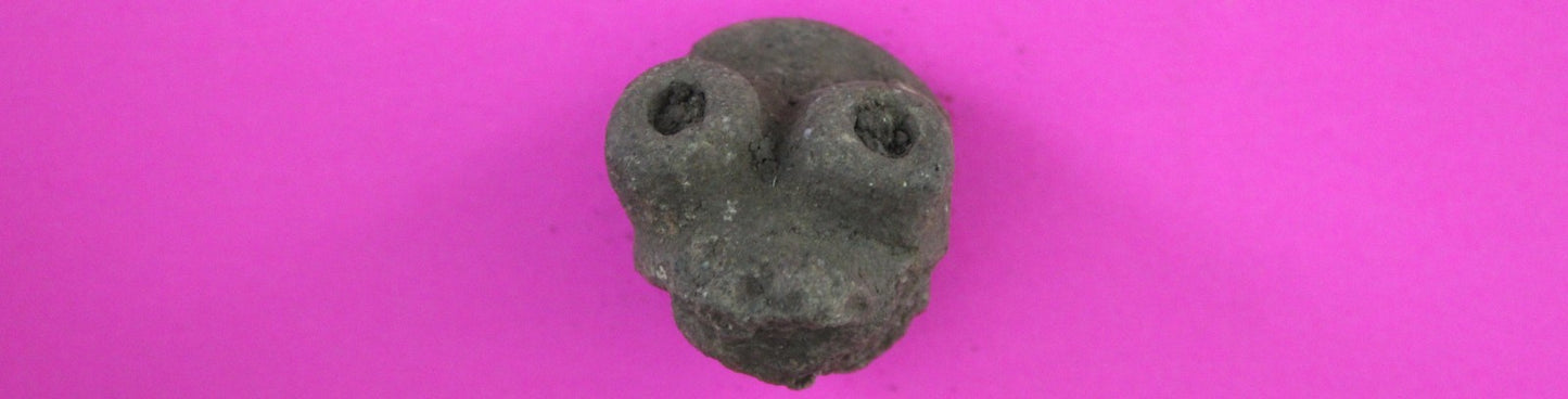 Puerto Rico Taino Pre Columbian Pottery Artifact FREE Display Case 1000AD COA 96