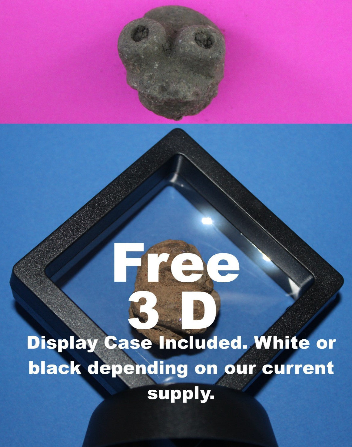 Puerto Rico Taino Pre Columbian Pottery Artifact FREE Display Case 1000AD COA 96