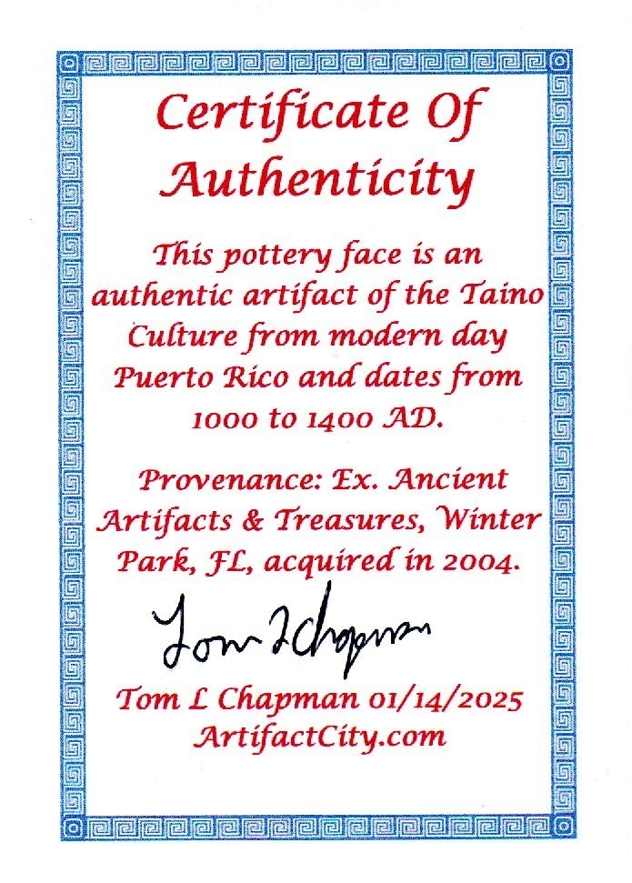 Puerto Rico Taino Pre Columbian Pottery Artifact FREE Display Case 1000AD COA 03