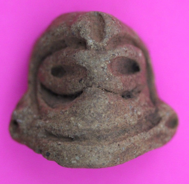 Puerto Rico Taino Pre Columbian Pottery Artifact FREE Display Case 1000AD COA 07