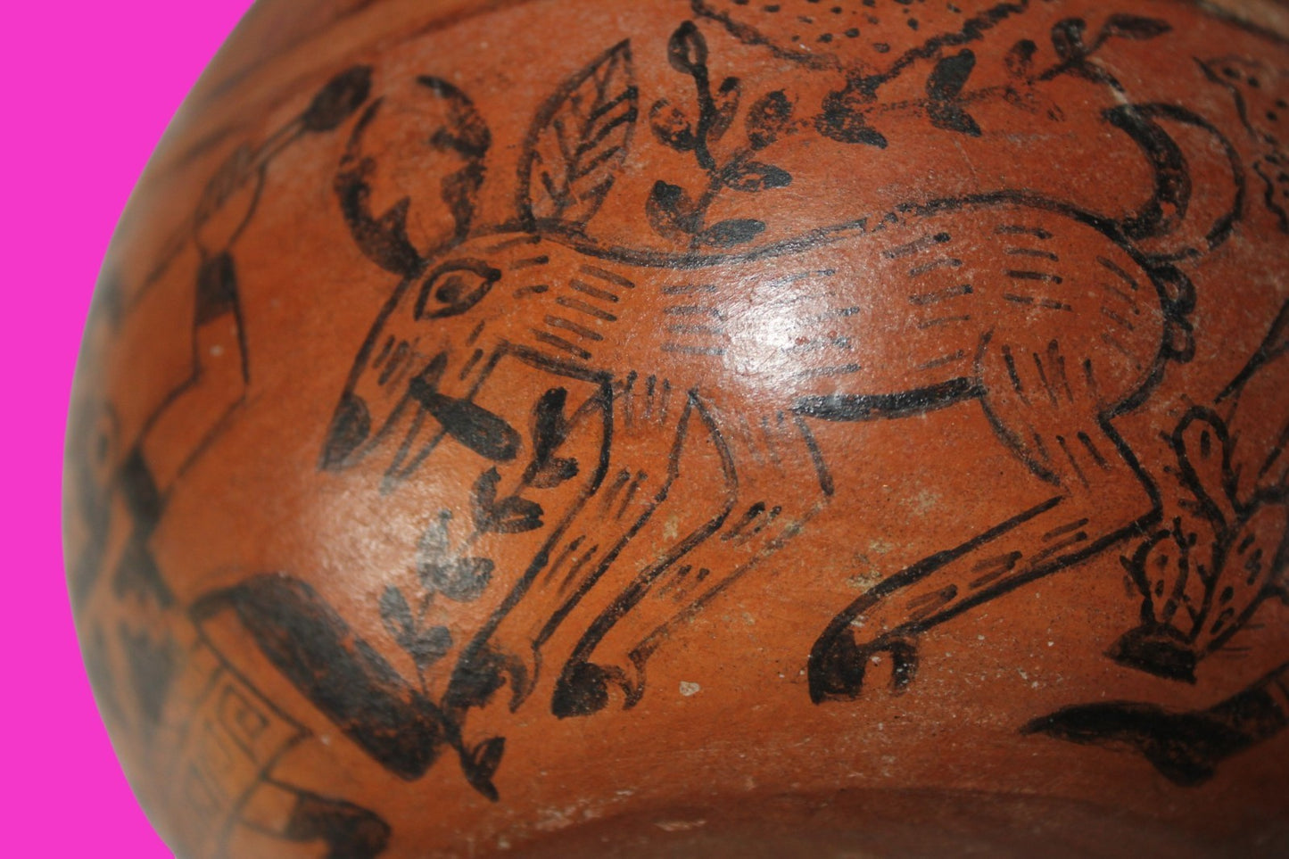 Pre Columbian Artifact Moche Fineline Hunting Scene Jar 500-800 AD Peru COA J145